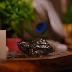 Pyrite Turtle